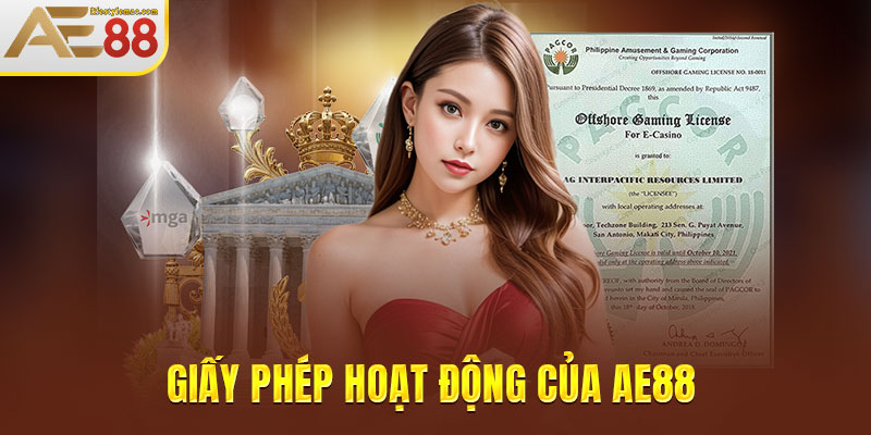 Giấy phép hoạt động của AE88