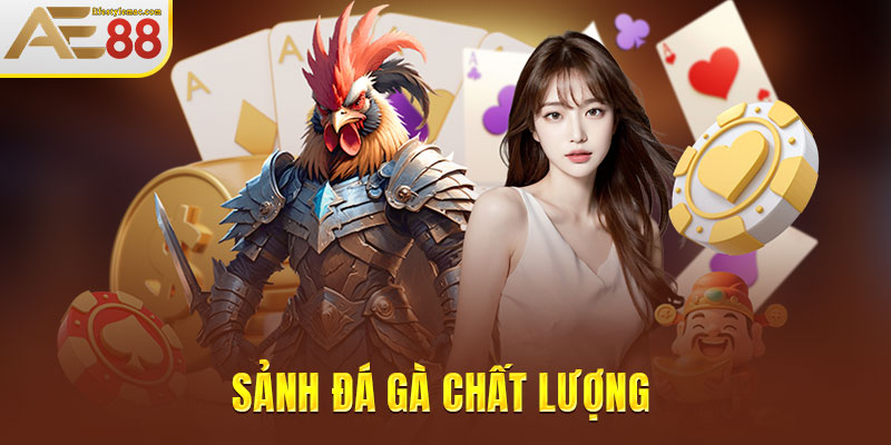 Sảnh đá gà đang dẫn đầu xu hướng tại nhà cái