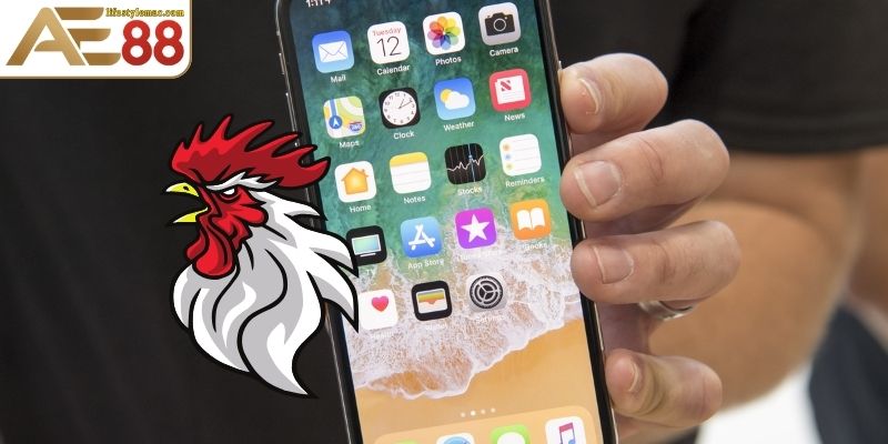 Tải App Đá Gà Thomo Nhanh Chóng Mới Nhất 2025 3 Cách tải ứng dụng trên HĐH iOS