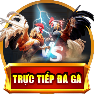 AE88🎖️Link Đăng Ký AE88 | Tặng 88K ✔️ 9 truc tiep da ga.png