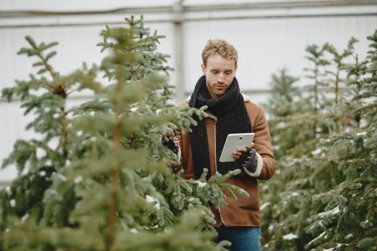 Beginner Guide to seasonal decor