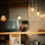 Notes Toward a Theory of the Right Size of Apartment