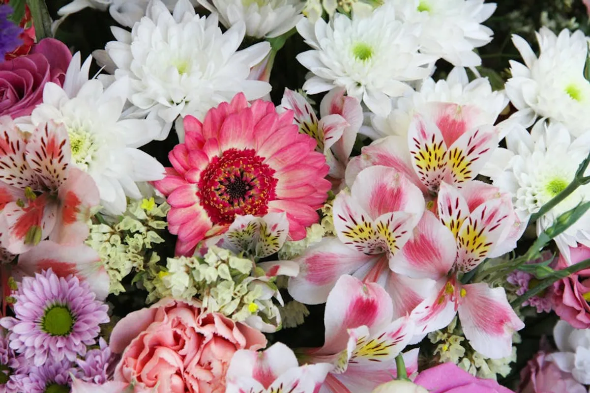 Flower Meanings Checklist for Introverts