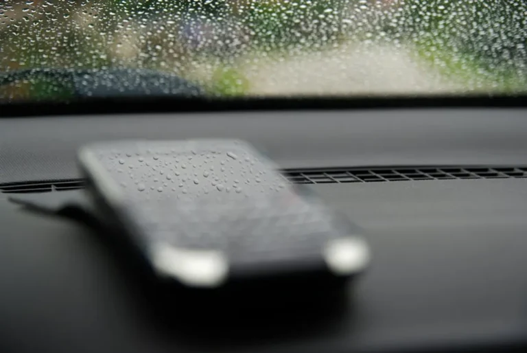 Things to Do on a Rainy Day at Home